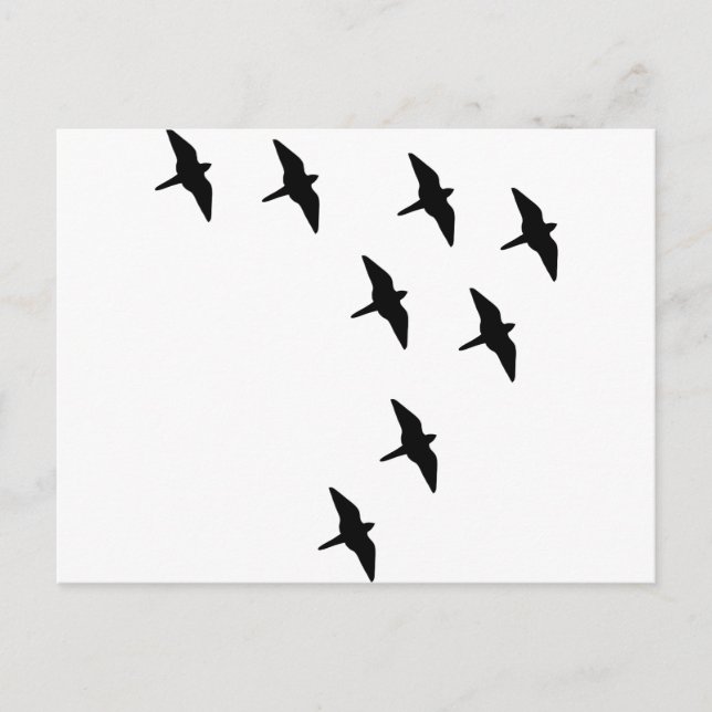 Vögel Postkarte (Vorderseite)