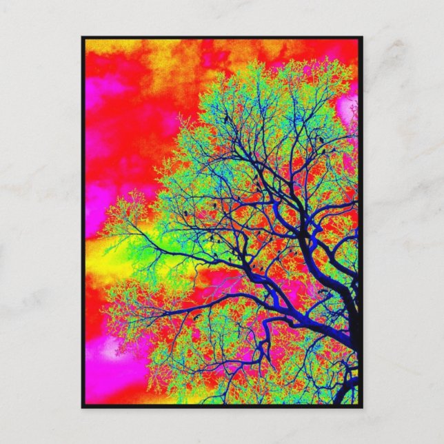 Vögel Postkarte (Vorderseite)