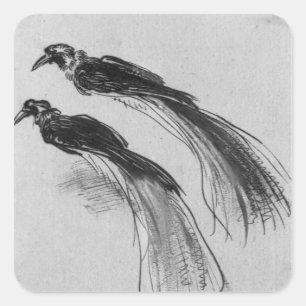 Vögel Quadratischer Aufkleber