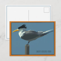 Vogel--Ried-Seeschwalbe Postkarte