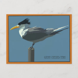 Vogel--Ried-Seeschwalbe Postkarte