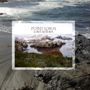 Vogel Rock, Point Lobos Staat Reserve Postkarte