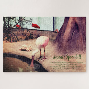 Vögel Rosa Löffler Puzzle
