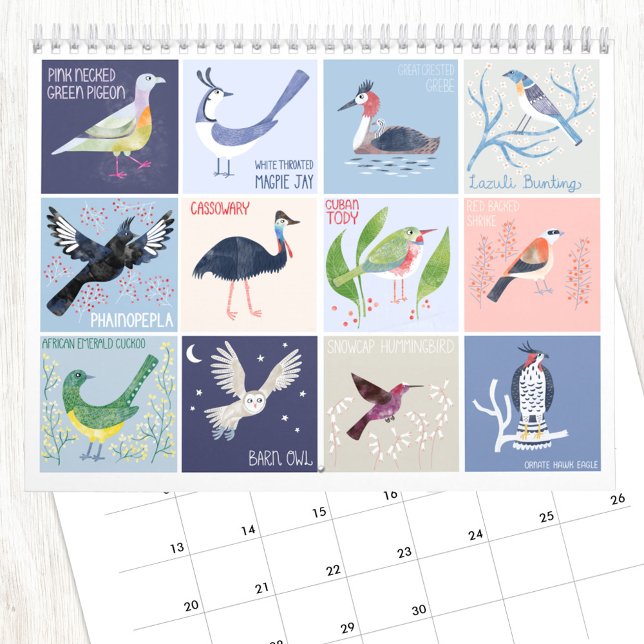 Vögel rund um die Welt Kunst Kalender (Birds around the World fun art calendar with illustrations by Nic Squirrell)