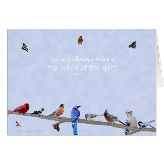 Vögel & Schmetterlinge tragen Farben des Geistes: (Vorderseite (Horizontal))