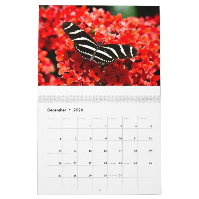 Vögel, Schmetterlinge und Blume Kalender (Dez 2026)