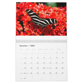 Vögel, Schmetterlinge und Blume Kalender