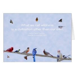 Vögel & Schmetterlinge - Zivilisation außer unsere