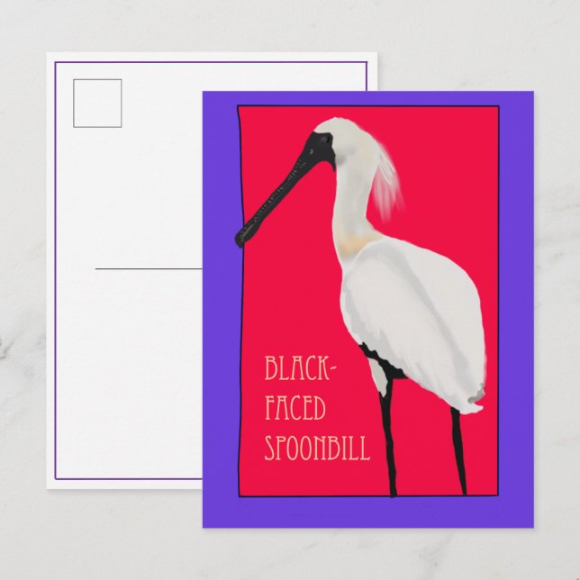Vogel -- Schwarzgesichtlöffler Postkarte (Vorne/Hinten)