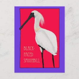 Vogel -- Schwarzgesichtlöffler Postkarte