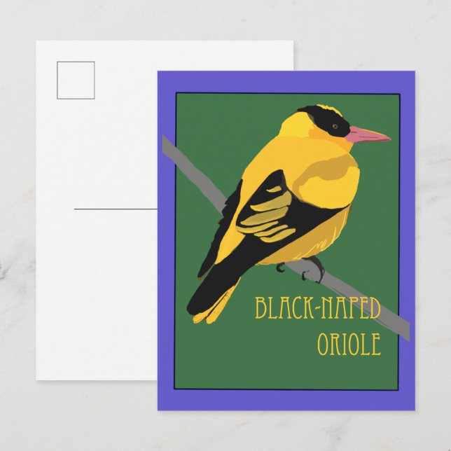 Vogel - Schwarznackenpirol Postkarte (Vorne/Hinten)