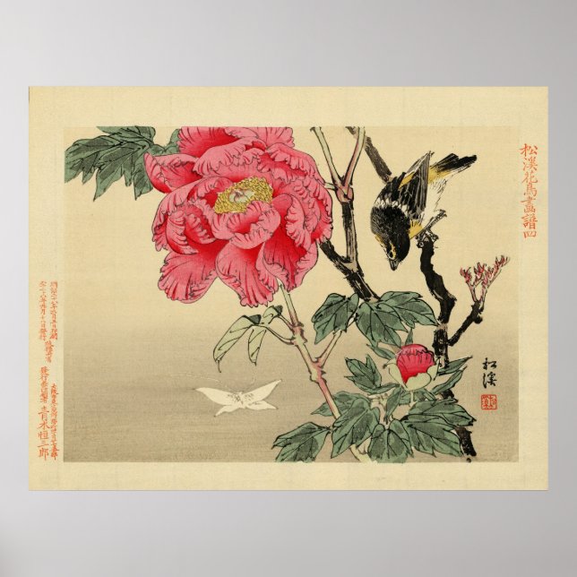 Vögel sehen Schmetterling Poster (Vorne)