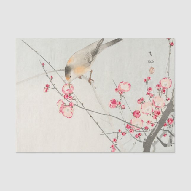 Vogel-Seidenpapier Seidenpapier (Vorderseite)