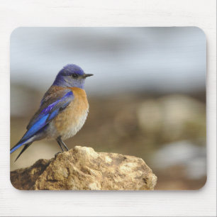 Vögel sind die einzigen Tiere mit Federn 6 Mousepad