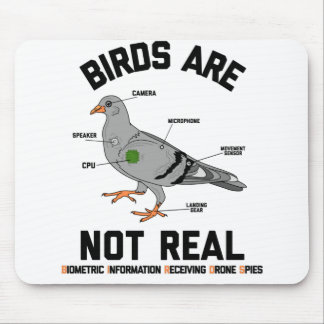 Vögel sind keine echte Spiontaube Funny Drone Mousepad