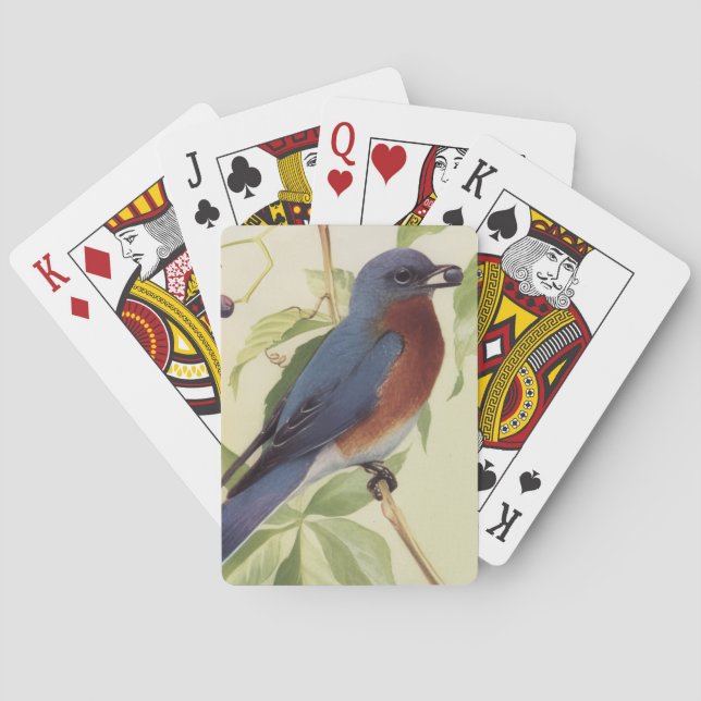 Vogel Spielkarten (Rückseite)