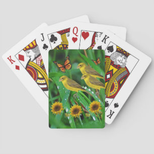 Vogel Spielkarten Deck