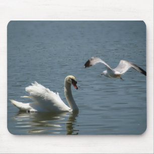 Vogel spielt mit Schwan Mousepad