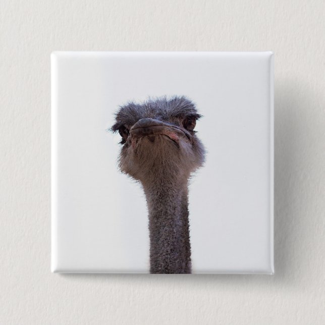 Vogel Strauß Button (Vorderseite)