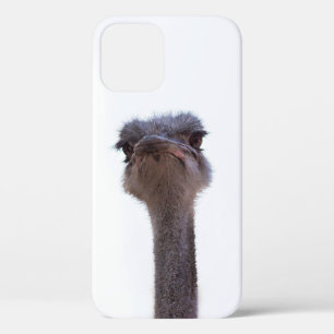Vogel Strauß Case-Mate iPhone Hülle