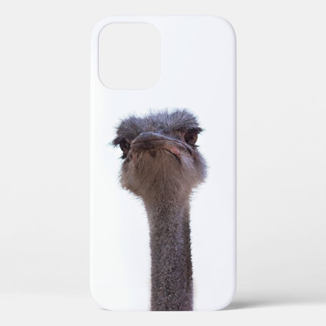 Vogel Strauß Case-Mate iPhone Hülle (Rückseite)