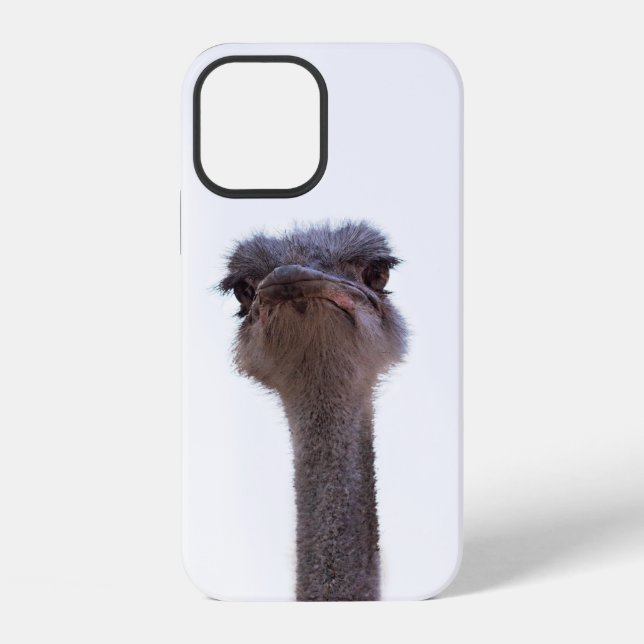 Vogel Strauß iPhone Hülle (Rückseite)