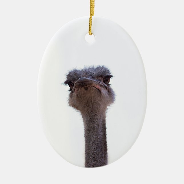 Vogel Strauß Keramik Ornament (Vorne)