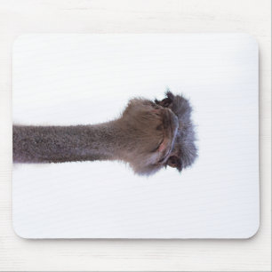 Vogel Strauß Mousepad