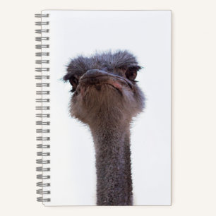 Vogel Strauß Notizbuch