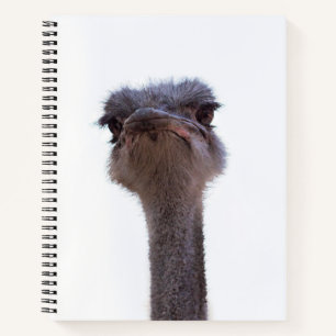 Vogel Strauß Notizbuch