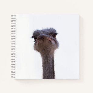 Vogel Strauß Notizbuch