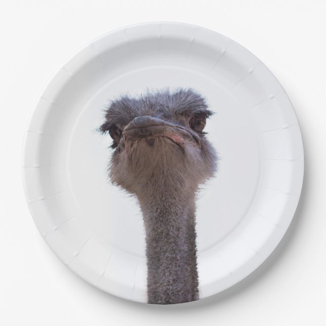 Vogel Strauß Pappteller (Vorderseite)