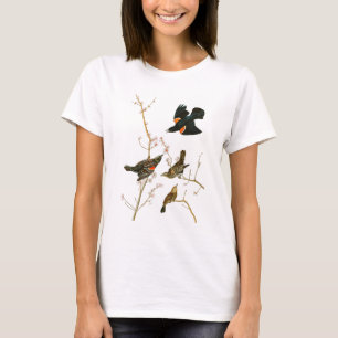 Vögel Sumpf-Amsel-Johns Audubon von Amerika T-Shirt