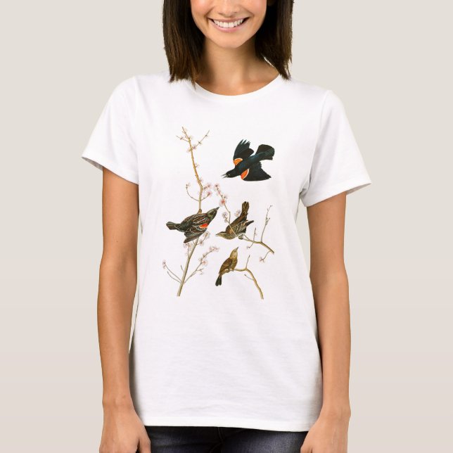 Vögel Sumpf-Amsel-Johns Audubon von Amerika T-Shirt (Vorderseite)