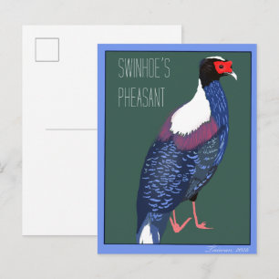 Vogel -- Swinhoe-Fasan Postkarte