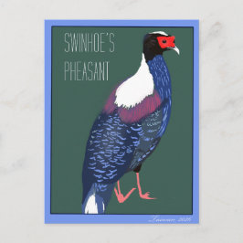Vogel -- Swinhoe-Fasan Postkarte