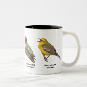 Vogel-Tasse Zweifarbige Tasse