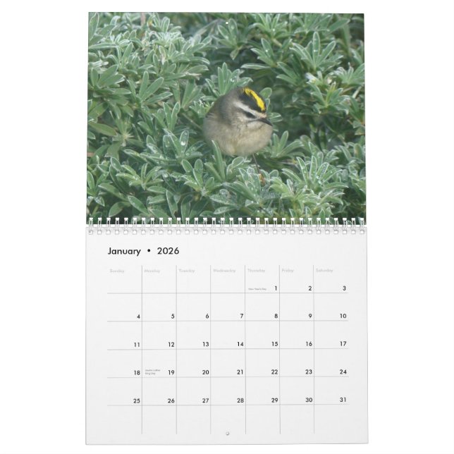 Vögel tragen 2012 ein kalender (Jan 2026)