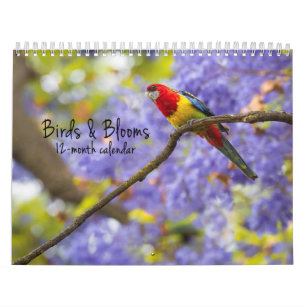 Vogel-u. Blüten-12-monatiger Kalender