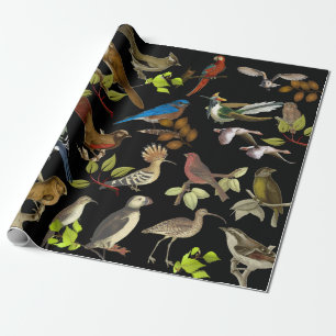 Vögel u. mehr Vögel Geschenkpapier
