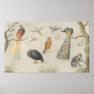Vögel und Affen - Jan van Kessel Fine Art Poster