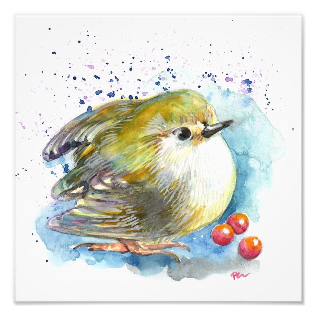 Vogel und Berries Fotodruck (Vorne)