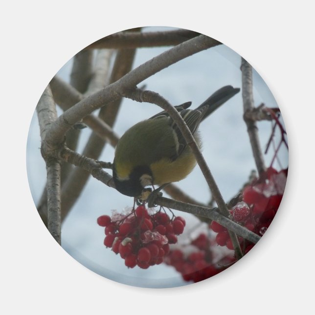 Vogel und Berry Magnet (Vorne)