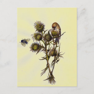 Vogel und Biene Postkarte