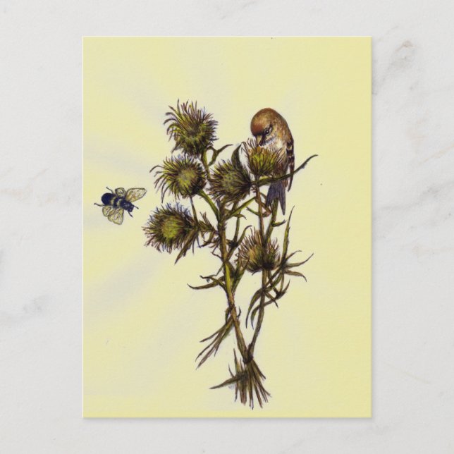 Vogel und Biene Postkarte (Vorderseite)