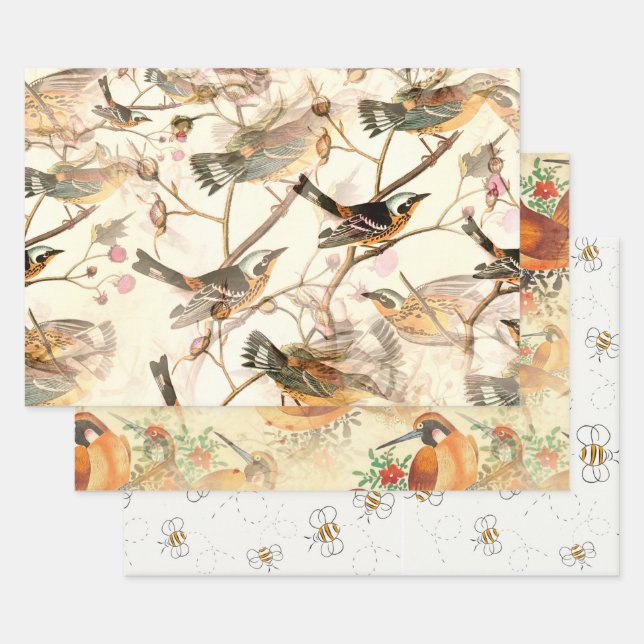 Vögel und Bienen Geschenkpapier Set (Set)