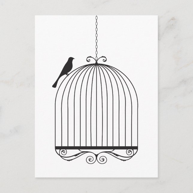 Vogel und Birdcage Postkarte (Vorderseite)