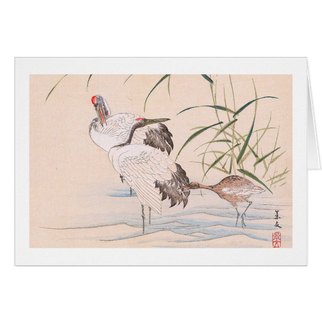 Vogel-und Blumen-Album, Vintage Kunst der Kräne (Vorderseite (Horizontal))