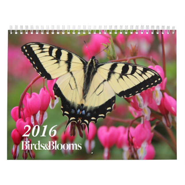 Vögel und Blüten 2016 - Kalender (Titelbild)