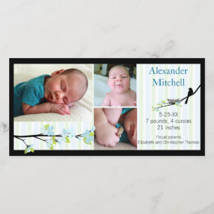 Vogel und Blüten in der Blues-Geburts-Mitteilung Ankündigung